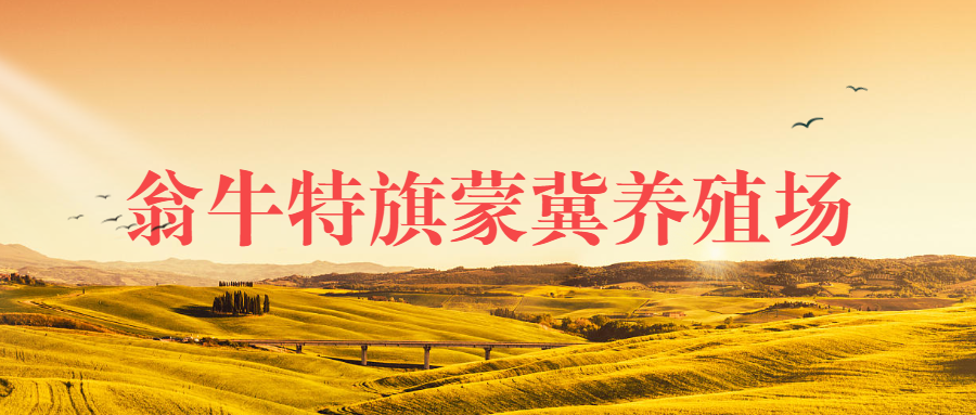 翁牛特旗蒙冀養(yǎng)殖場(chǎng)